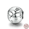 Zodiac  Sign  Beads Charms