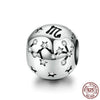 Zodiac  Sign  Beads Charms