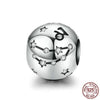 Zodiac  Sign  Beads Charms